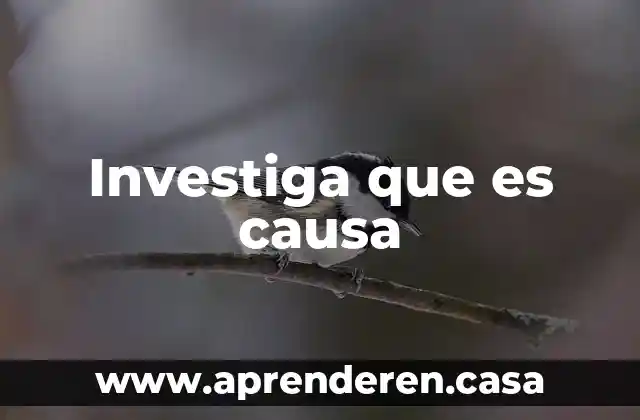 Bancomer que es causa 52 3 Investiga que es causa
