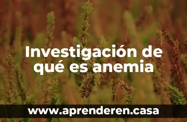 Investigación de qué es anemia