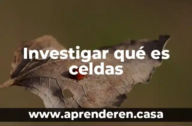 Investigar qué es celdas