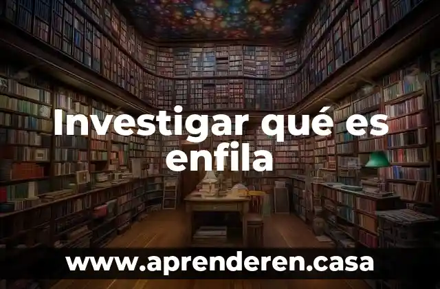 Investigar y explicar qué es una encuesta 8 Investigar qué es enfila