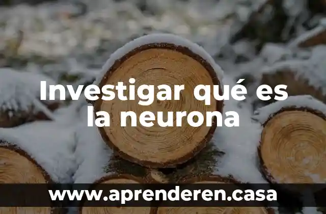 Investigar qué es la neurona