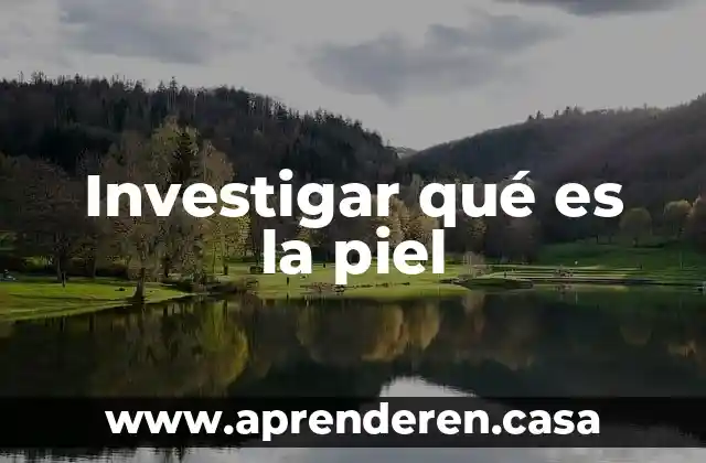 Investigar qué es la piel