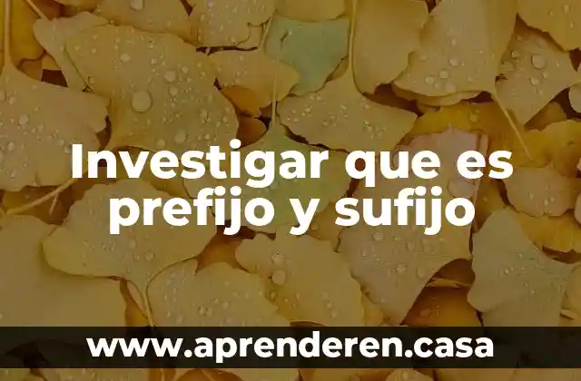 Investigar que es prefijo y sufijo