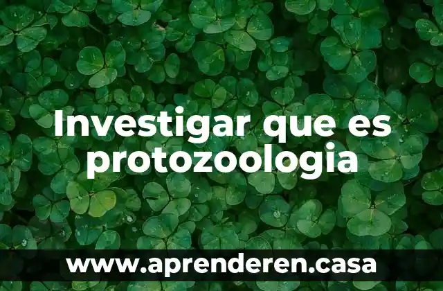 Investigar y explicar qué es una encuesta 3 Investigar que es protozoologia