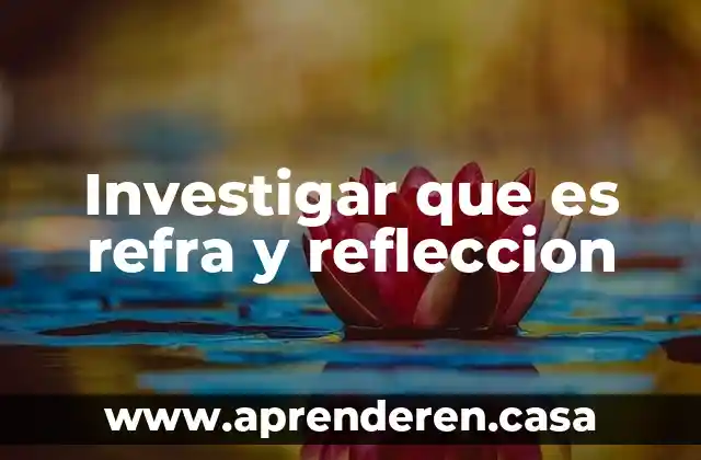 Investigar que es refra y refleccion