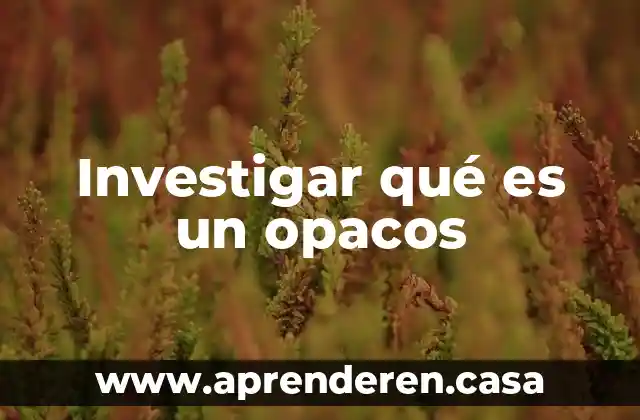 Investigar y explicar qué es una encuesta 5 Investigar qué es un opacos