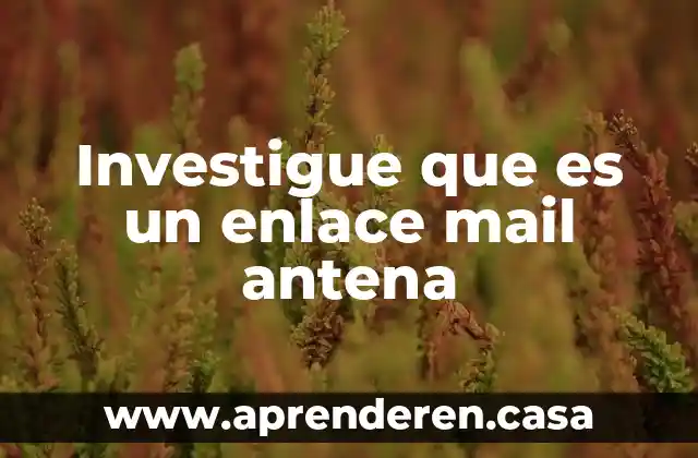 Investigue que es un enlace mail antena