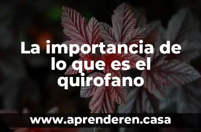 La importancia de lo que es el quirofano