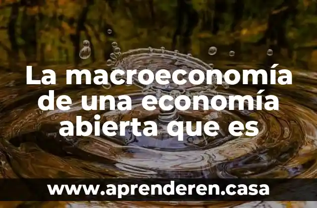 Que es determinacion de precios en economia 5 La macroeconomía de una economía abierta que es