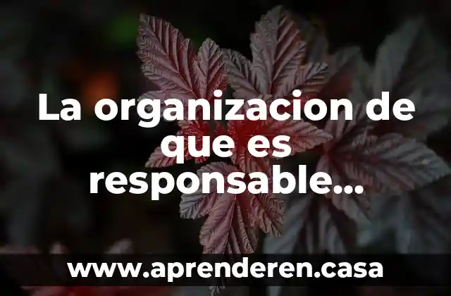 Que es un ambiente o entorno virtual de aprendizaje 6 La organizacion de que es responsable respecto a su entorno