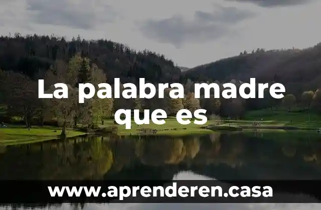 ¿Qué es la palabra socio? 3 La palabra madre que es