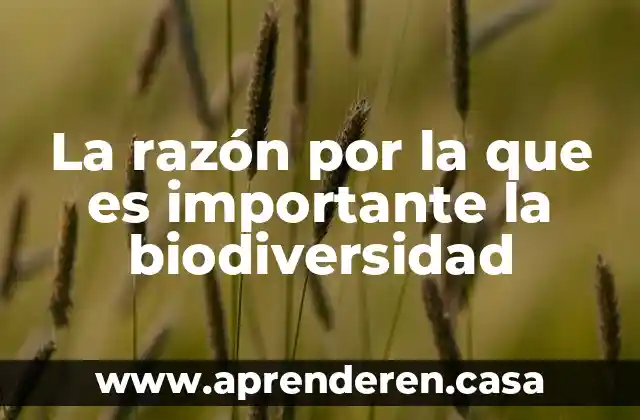 La razón por la que es importante la biodiversidad