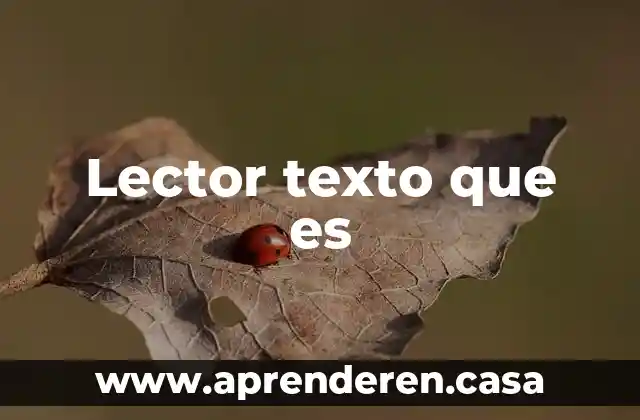 Lector texto que es