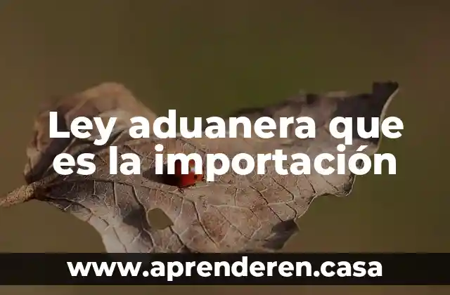 Qué es la ley boyle 4 Ley aduanera que es la importación