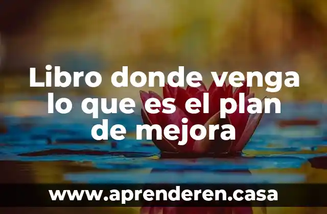 Libro donde venga lo que es el plan de mejora