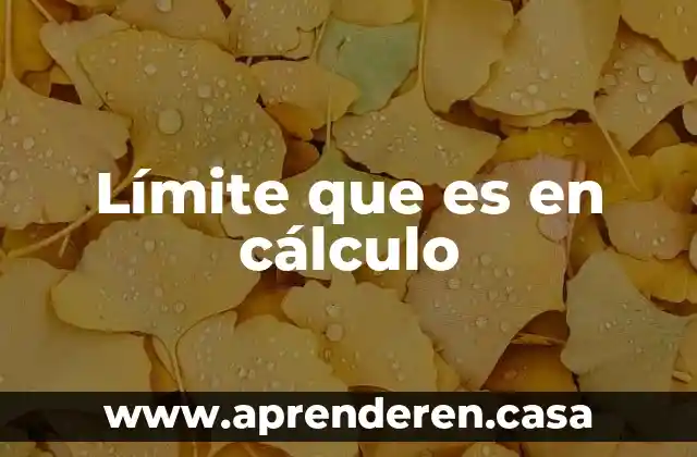 Qué es un límite matemático 8 Límite que es en cálculo