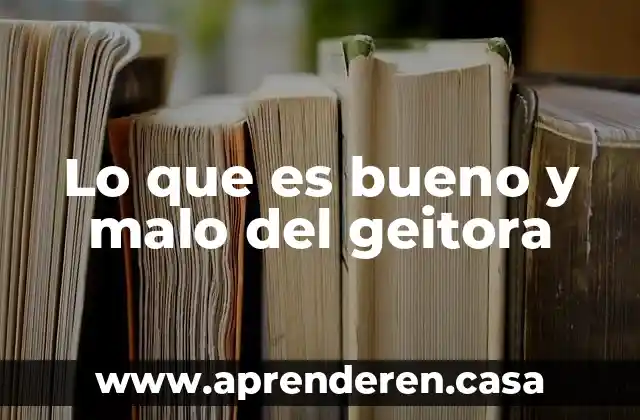 Lo que es bueno y malo del geitora