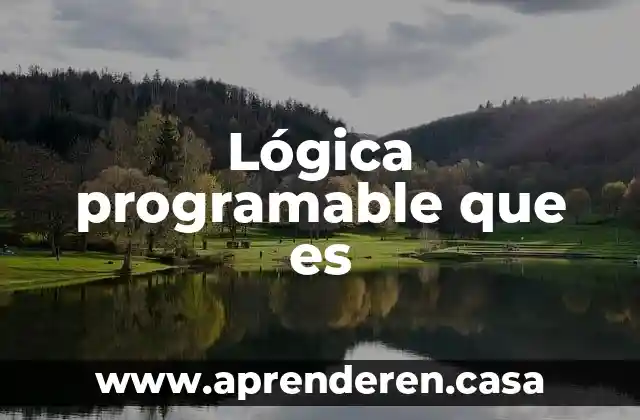 Lógica programable que es