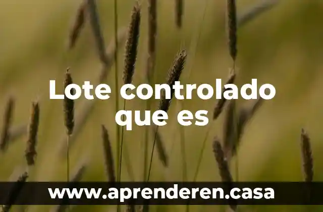 Lote controlado que es