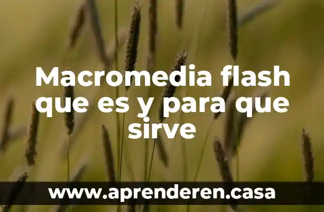 Macromedia flash que es y para que sirve