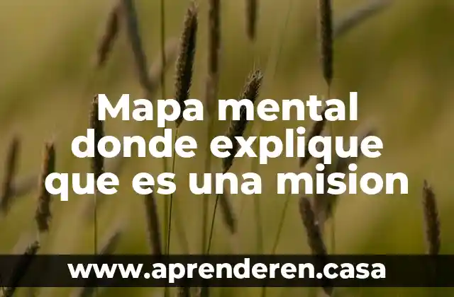 Mapa mental donde explique que es una mision