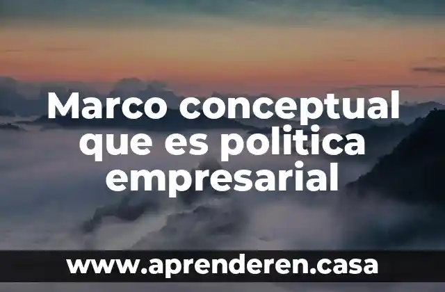 Marco conceptual que es politica empresarial