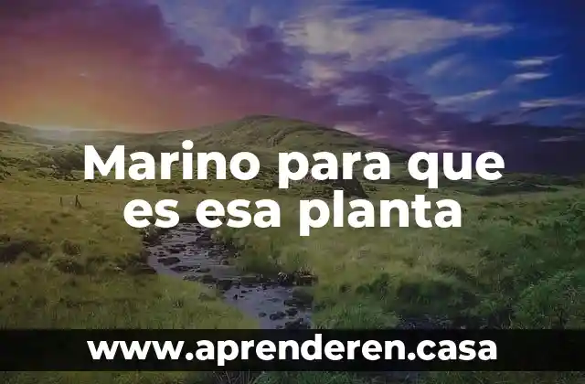 Qué es una planta de gas 3 Marino para que es esa planta