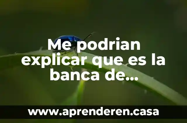 Me podrian explicar que es la banca de desarrollo