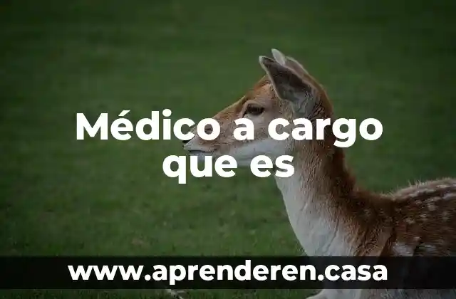 Médico a cargo que es