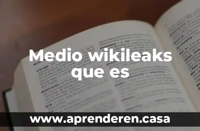 Que es un medio de inconformidad 7 Medio wikileaks que es