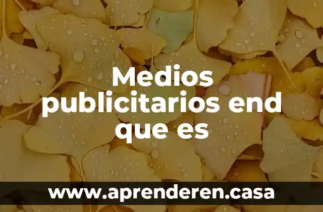 Medios publicitarios end que es