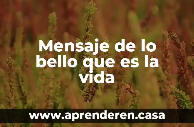 Mensaje de lo bello que es la vida