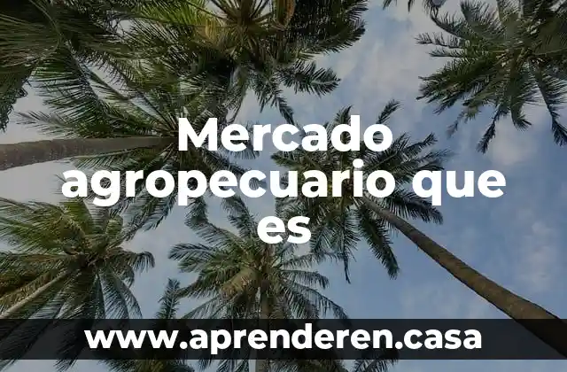 Mercado agropecuario que es