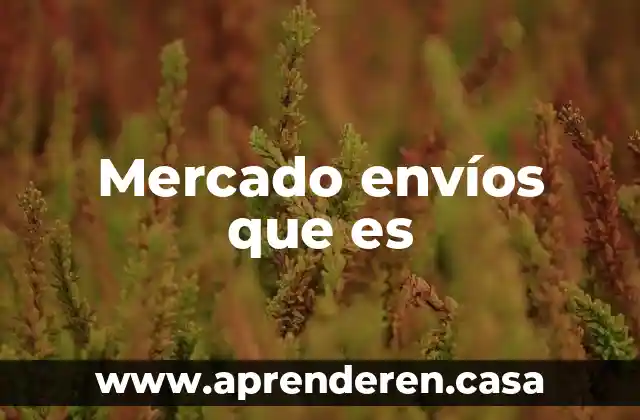 Que es mercado empresarial 5 Mercado envíos que es