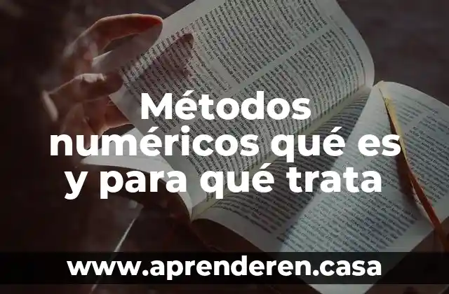 Métodos numéricos qué es y para qué trata