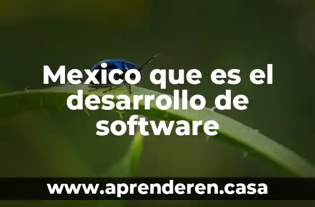 Mexico que es el desarrollo de software