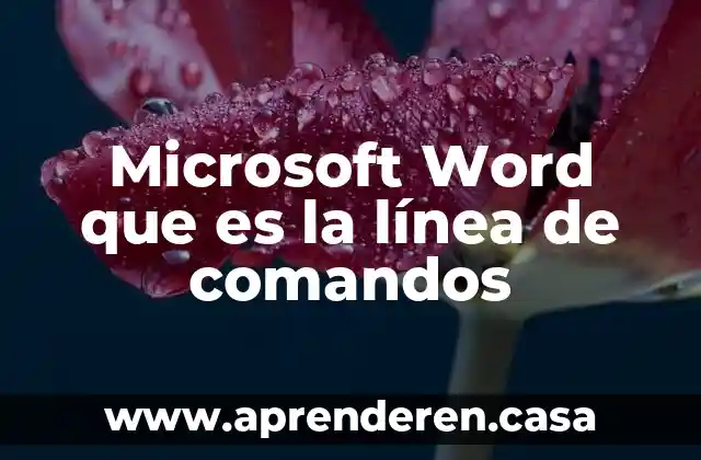 Que es encuestas pagadas en linea 5 Microsoft Word que es la línea de comandos