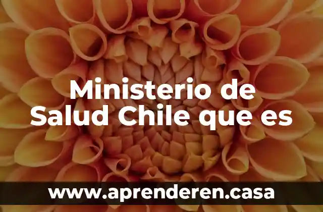 Ministerio de Salud Chile que es