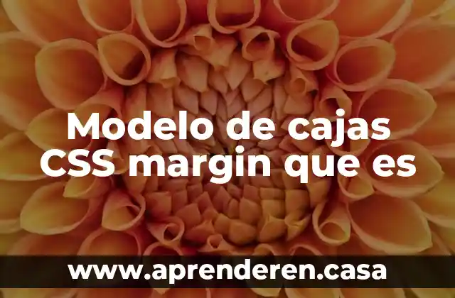Modelo de cajas CSS margin que es
