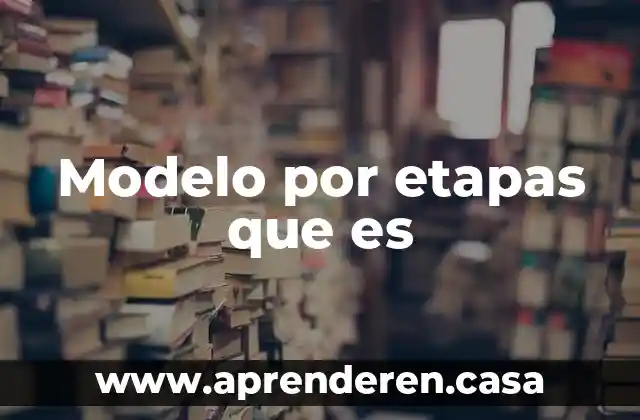 Modelo por etapas que es