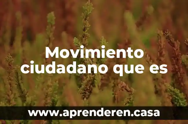 Movimiento ciudadano que es