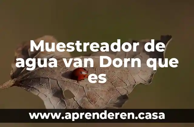 Muestreador de agua van Dorn que es