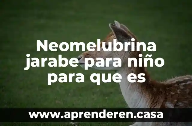 Que es el niño holandes geo tormenta 3 Neomelubrina jarabe para niño para que es