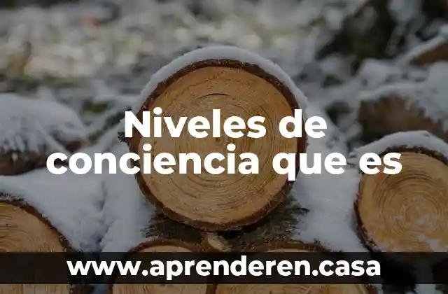 Niveles de conciencia que es