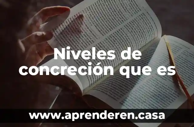 Qué es niveles de bienestar 4 Niveles de concreción que es