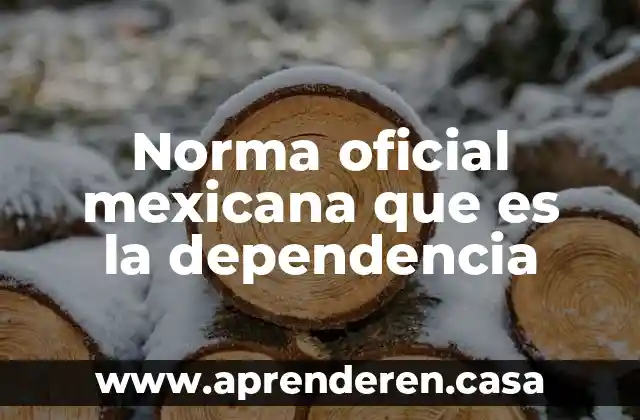 Norma oficial mexicana que es la dependencia