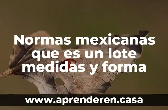 Normas mexicanas que es un lote medidas y forma