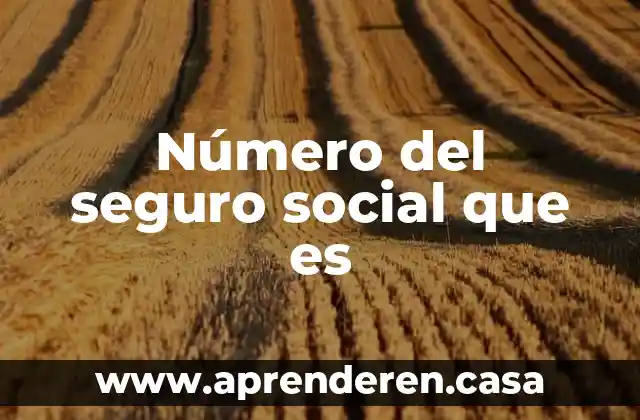 Número del seguro social que es