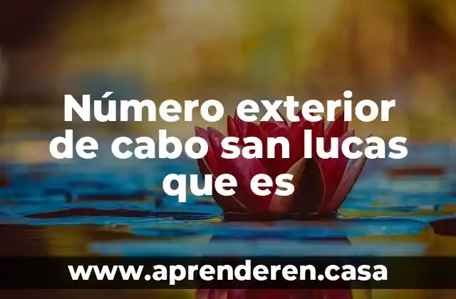 Número exterior de cabo san lucas que es