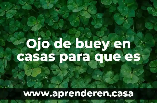 Que es casas geo 6 Ojo de buey en casas para que es